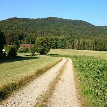Teufelsbauer Apartment Rimbach (Bavaria)
