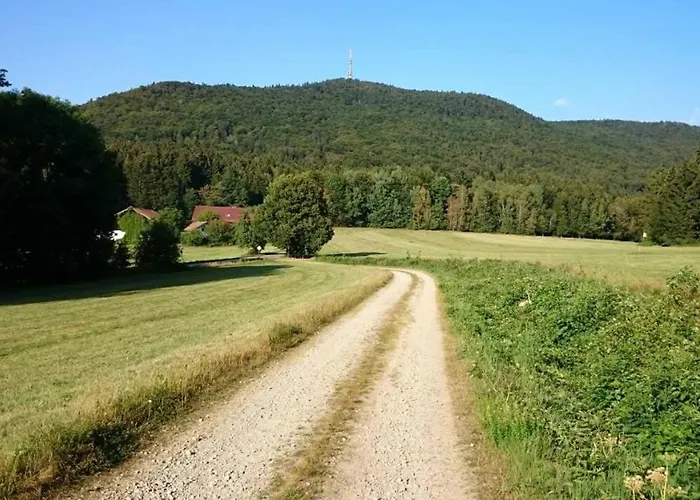 Teufelsbauer Apartment Rimbach (Bavaria)